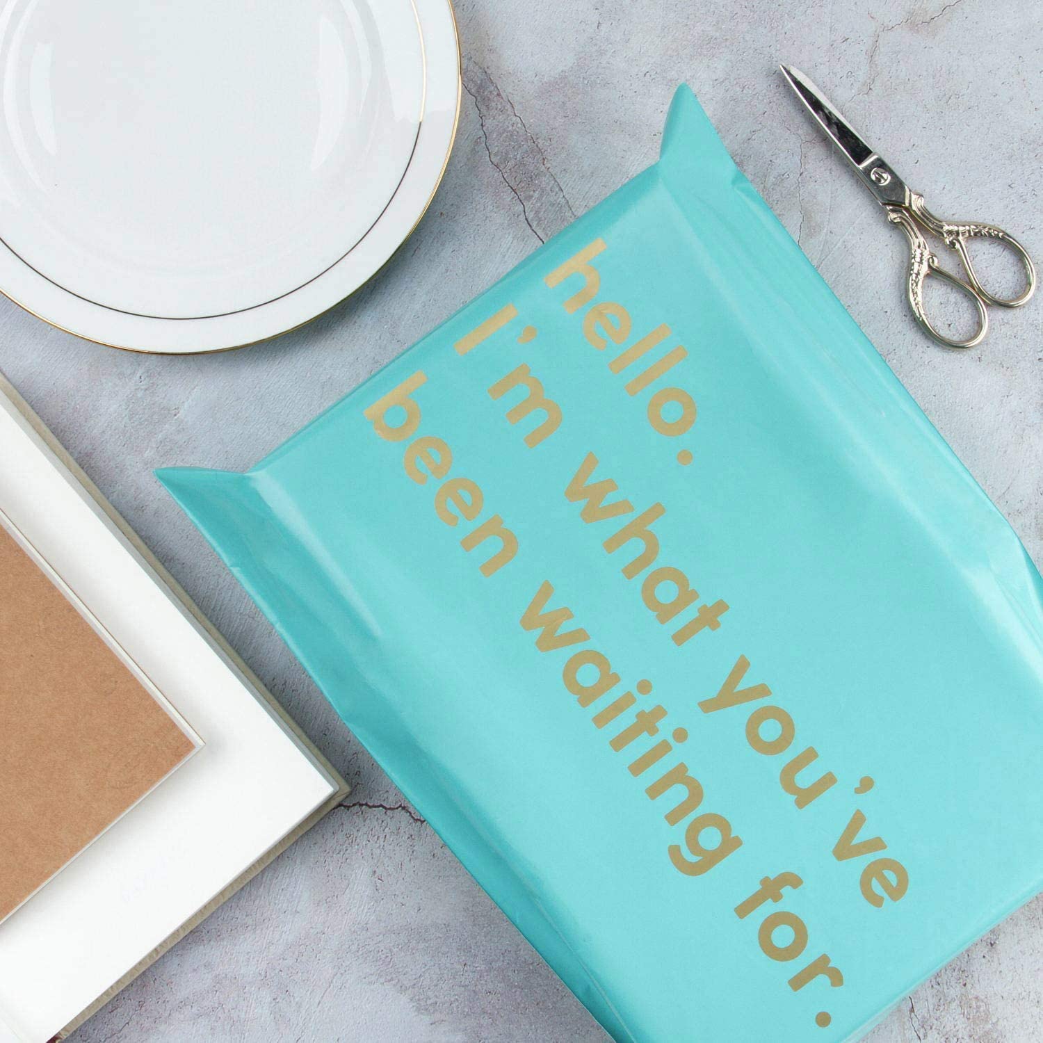 WRAPLA 25 x 33cm (10 x 13 inches) Poly Mailers Shipping Bags Text Printed Light Blue Poly Mailers 2.3 Mil Heavy Duty Self Seal Mailing Envelopes - 100 Pack